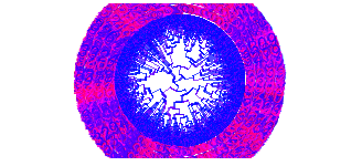 DataXploits dendrogram